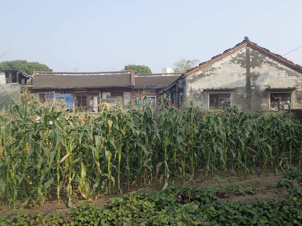 土庫 頂圍 李家古厝 土庫 頂圍 李家古厝
