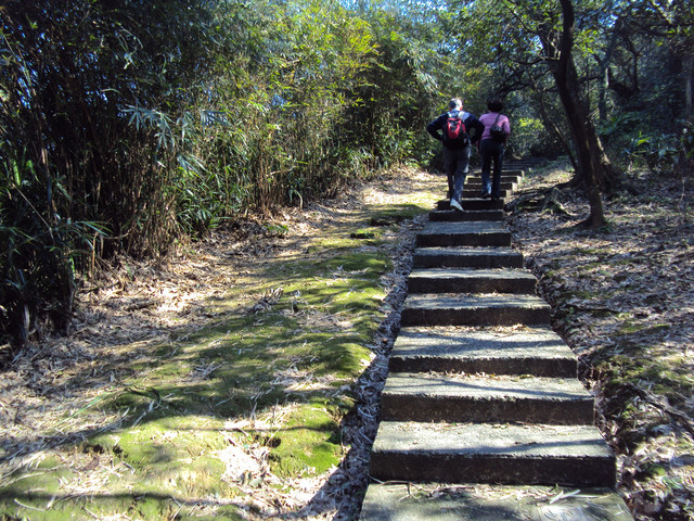基隆 紅淡山步道 基隆 紅淡山步道