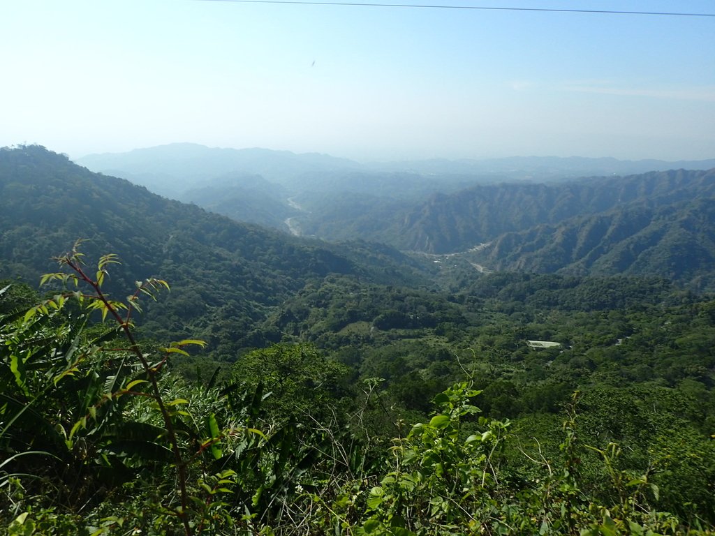 太平 暗影山 (酒桶山) 太平 暗影山 (酒桶山)