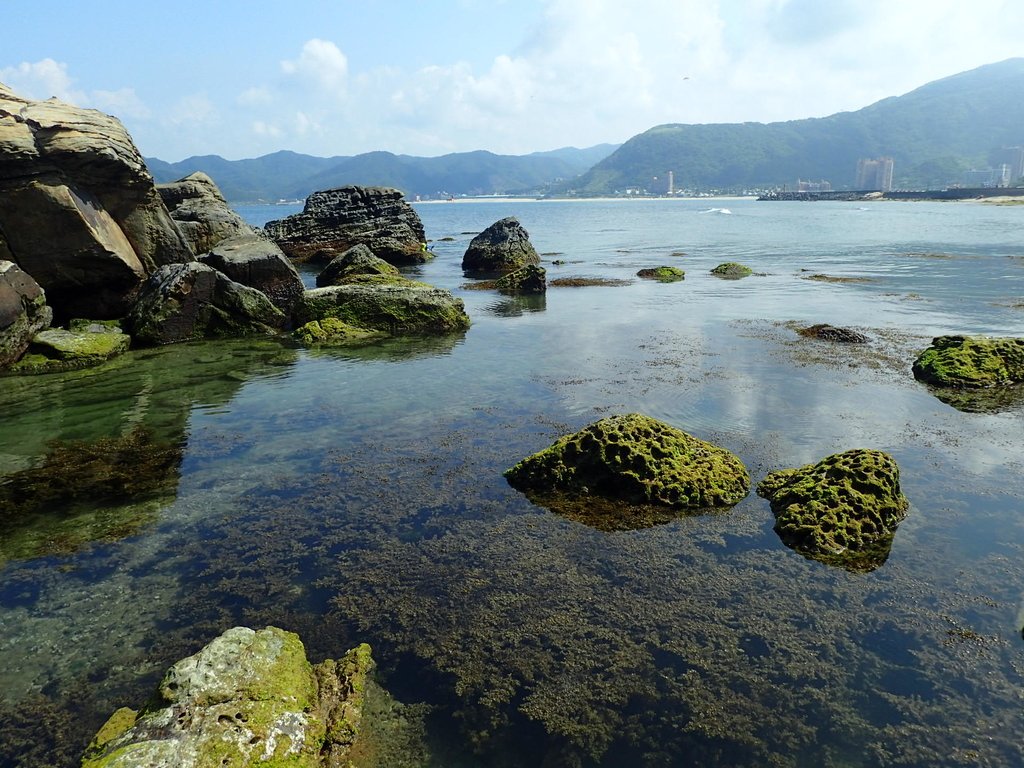 野柳 龜吼海岸之 岩石之美 野柳 龜吼海岸之 岩石之美