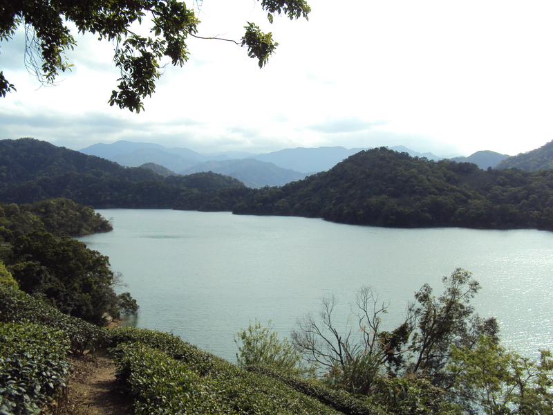 石碇 小格頭 湖畔秘境 石碇 小格頭 湖畔秘境