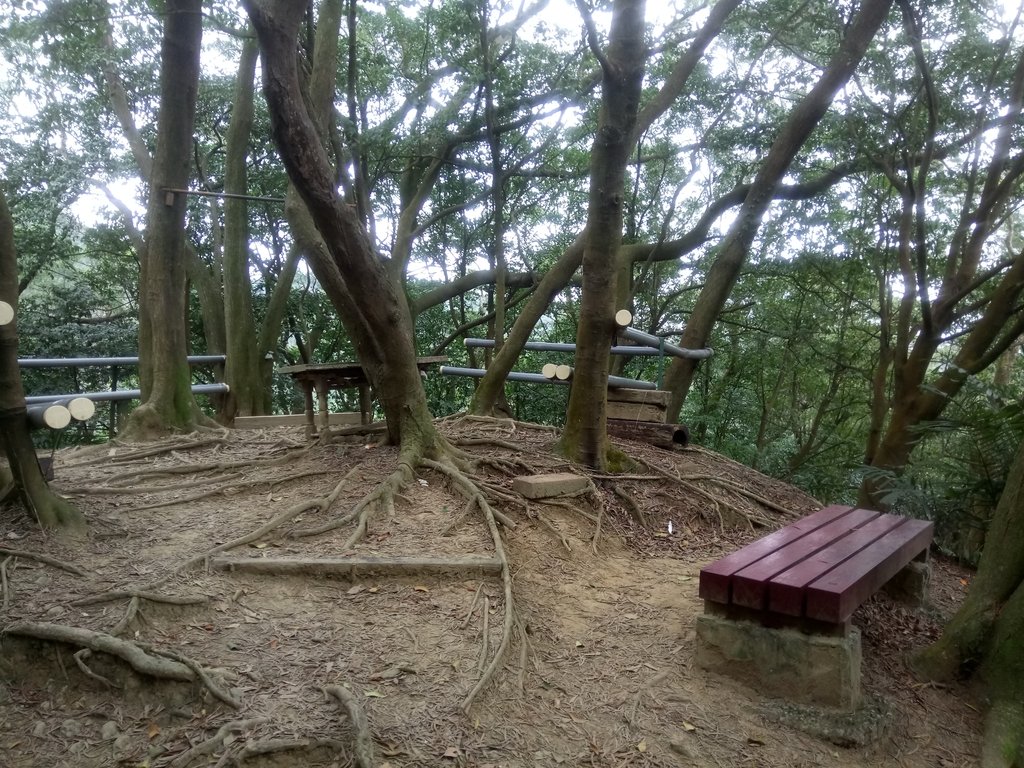 三峽 鳶尾山登山步道 三峽 鳶尾山登山步道