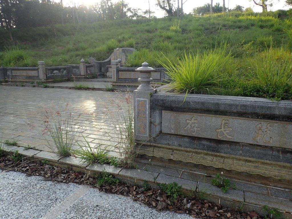 台中 大肚山 林萬福墓 台中 大肚山 林萬福墓