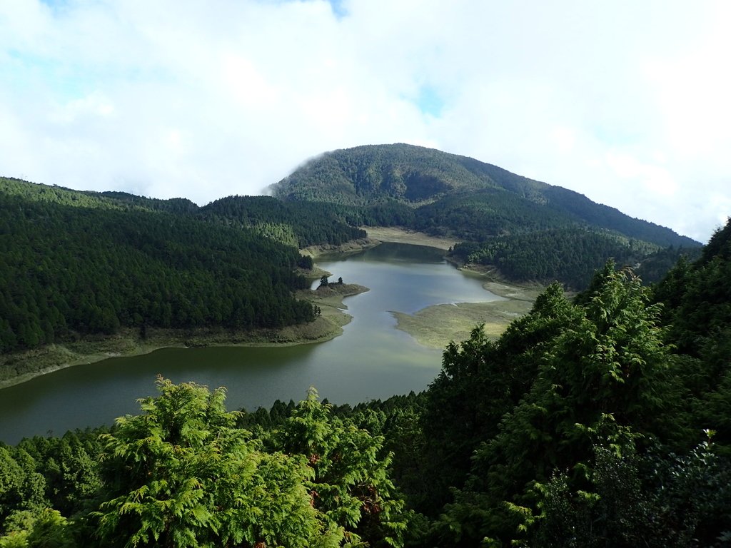 太平山 翠峰湖環山步道 (下) 太平山 翠峰湖環山步道 (下)