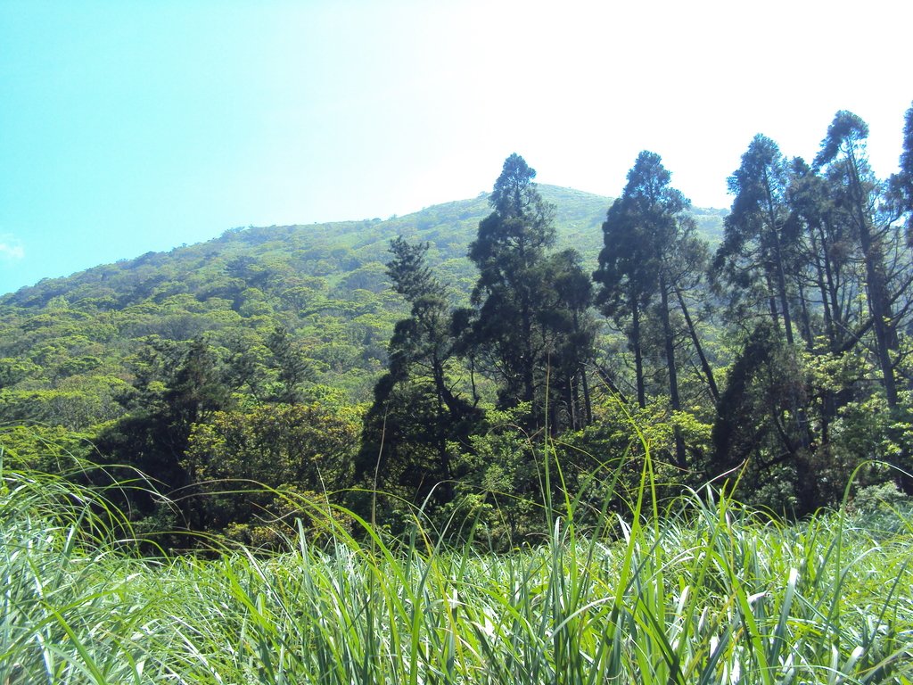 大屯山主峰 大屯山主峰