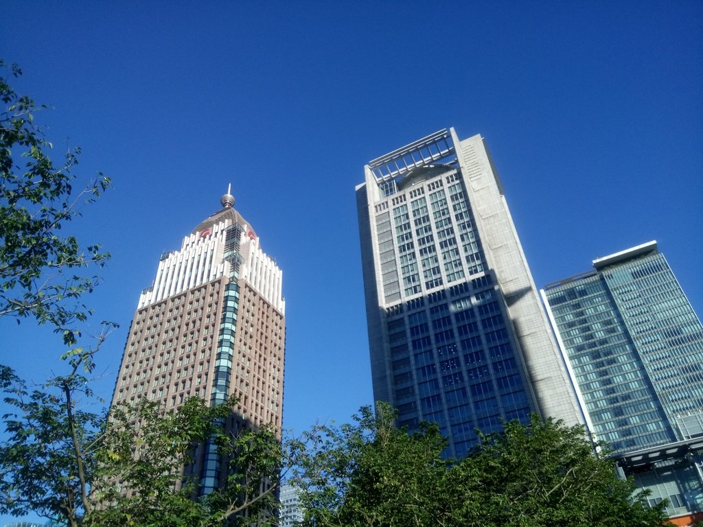 信義計畫區 城市天際線 信義計畫區 城市天際線