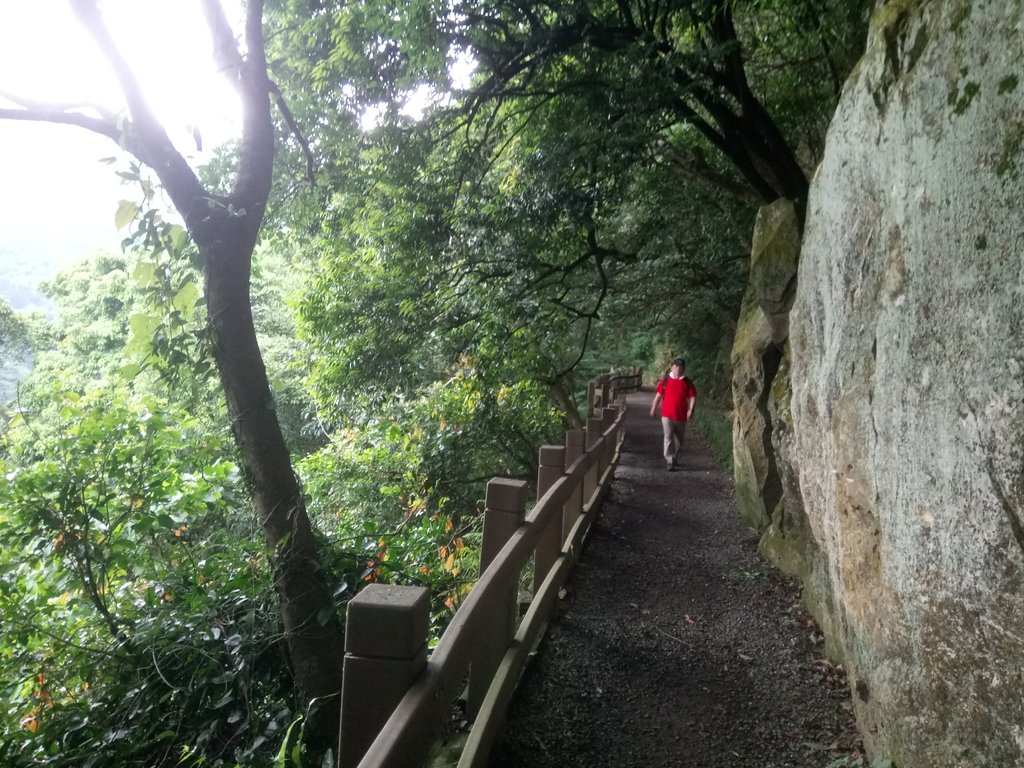 陽明山 水管路古道行 陽明山 水管路古道行