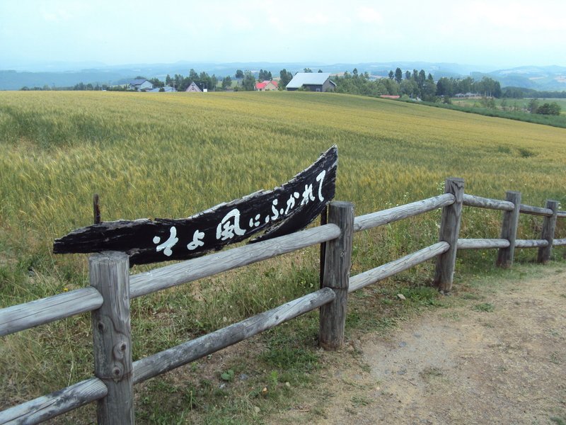 北海道(十九) 美瑛 北西之丘展望公園 北海道(十九) 美瑛 北西之丘展望公園