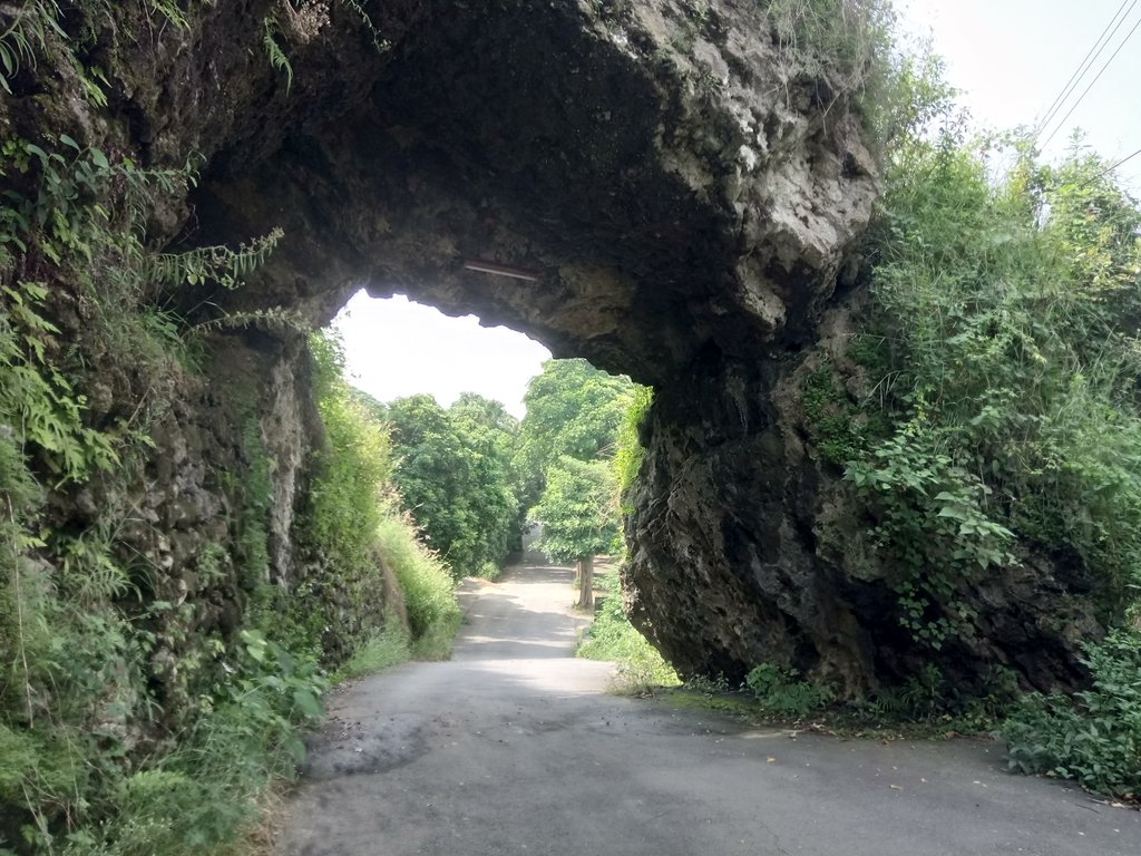 阿蓮 大崗山登山步道 阿蓮 大崗山登山步道
