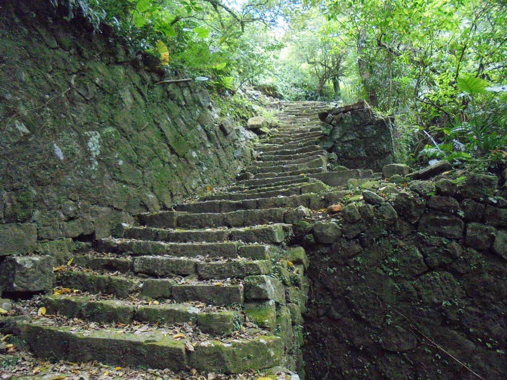 侯硐 小粗坑古道 侯硐 小粗坑古道