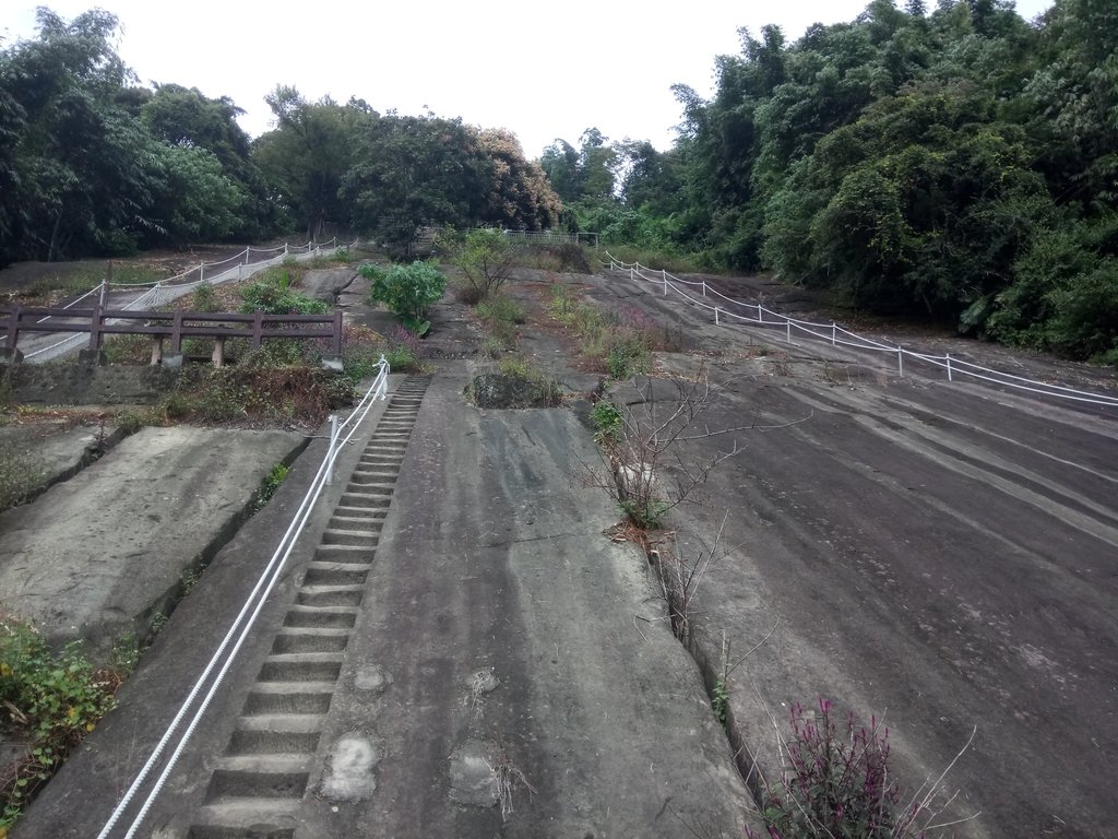 草嶺 茄苳步道 峭壁雄風 草嶺 茄苳步道 峭壁雄風