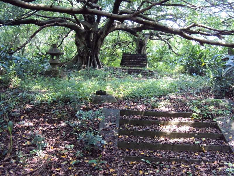 神社遺跡(三一) 崎頂 日出神社 神社遺跡(三一) 崎頂 日出神社