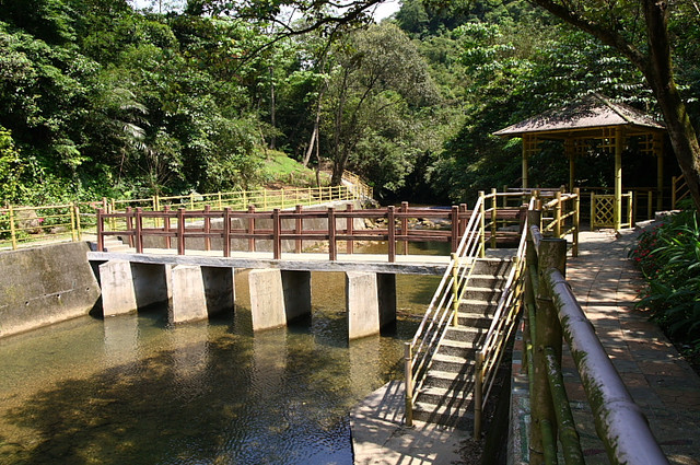 瑪陵坑 瑪西桐花步道 瑪陵坑 瑪西桐花步道
