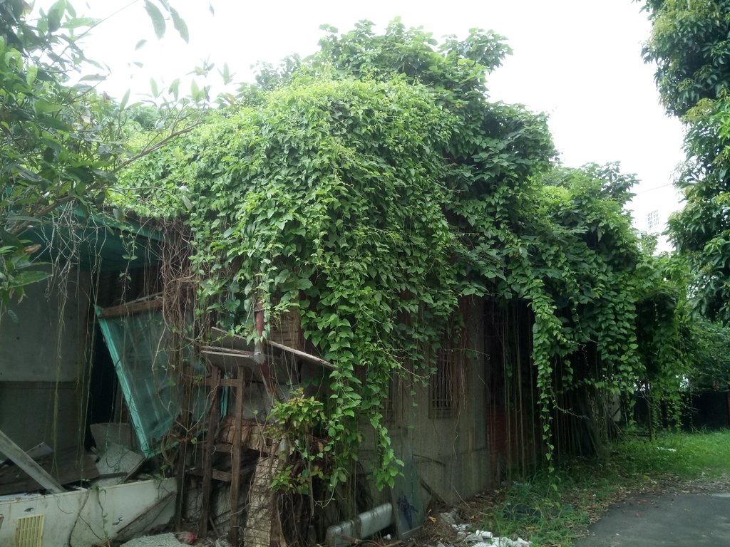 記憶廢墟 (307) 記憶廢墟 (307)
