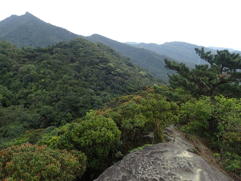 汐止 柯子林山 如意湖 (上) 汐止 柯子林山 如意湖 (上)