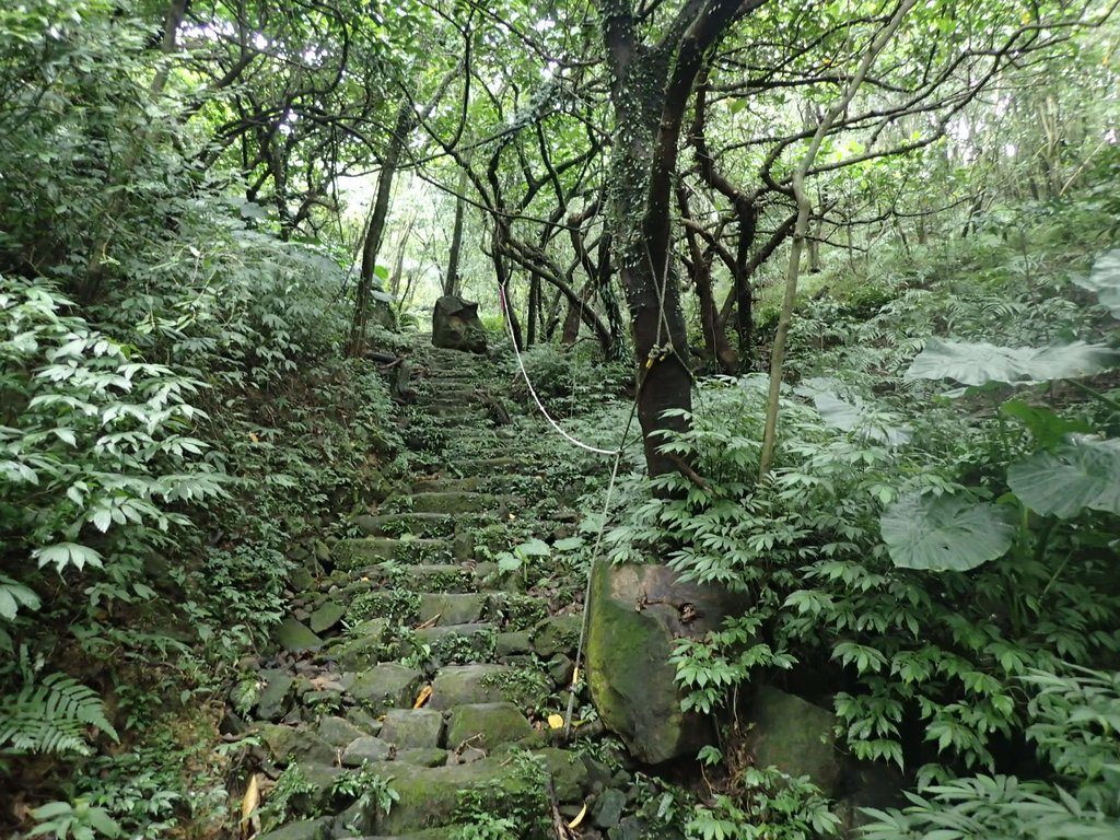 瑞芳 燦光寮古道初探 (上) 瑞芳 燦光寮古道初探 (上)
