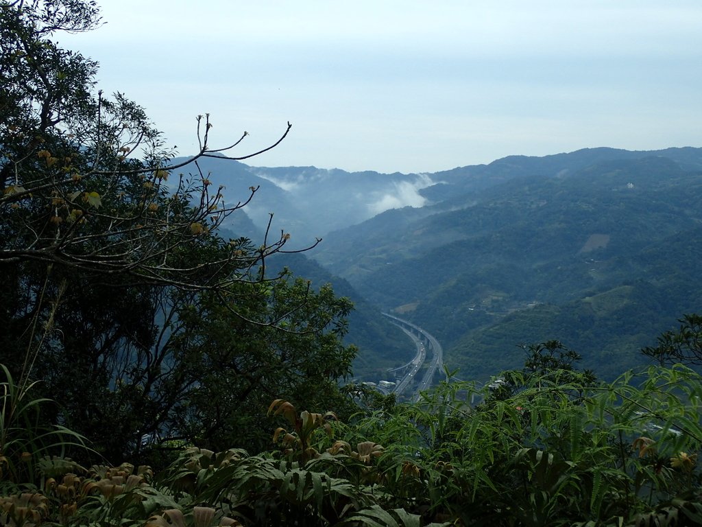 坪林 鬼子瀨尖山 (大尾山) 坪林 鬼子瀨尖山 (大尾山)