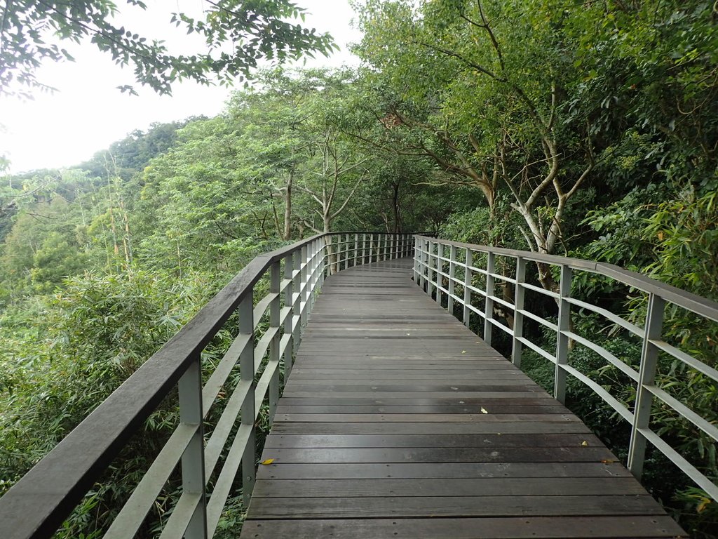 散步— 觀音山 林梢步道 散步— 觀音山 林梢步道