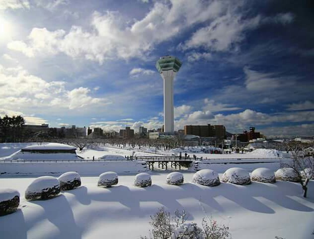 函館 五稜郭之 冬雪景 函館 五稜郭之 冬雪景