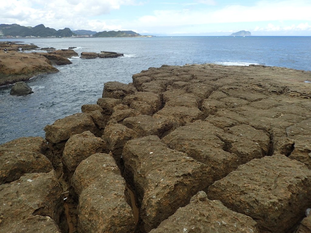 瑞芳 金石園 海岸岩石之美 瑞芳 金石園 海岸岩石之美