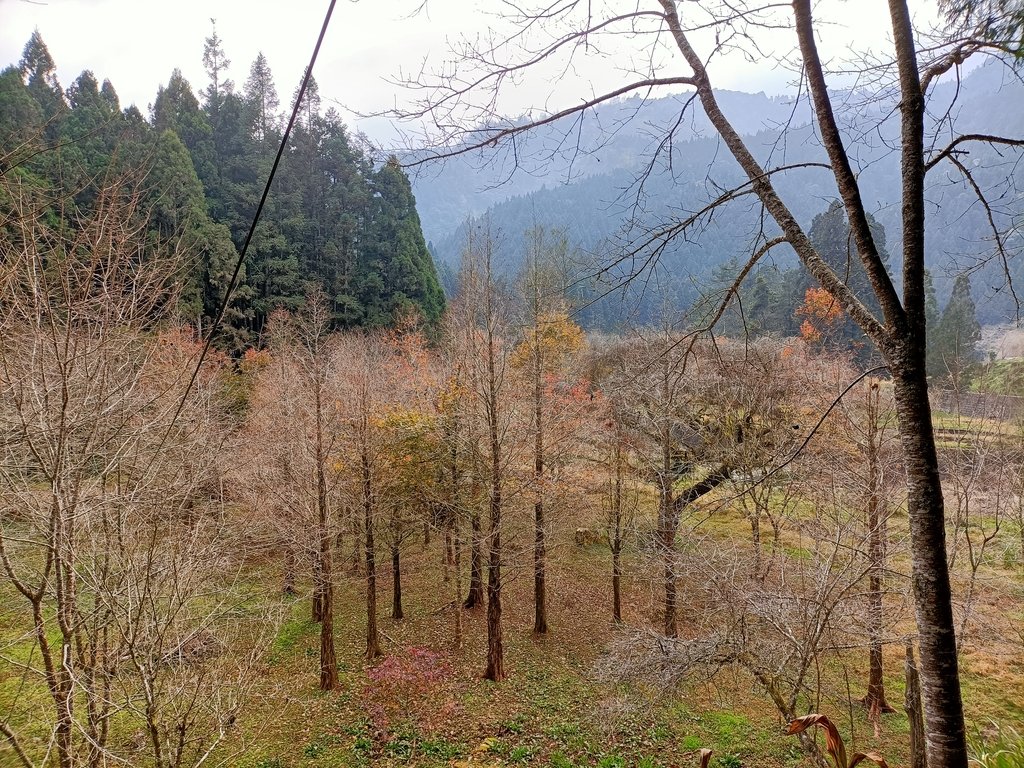 竹山 杉林溪生態渡假園區 (下) 竹山 杉林溪生態渡假園區 (下)