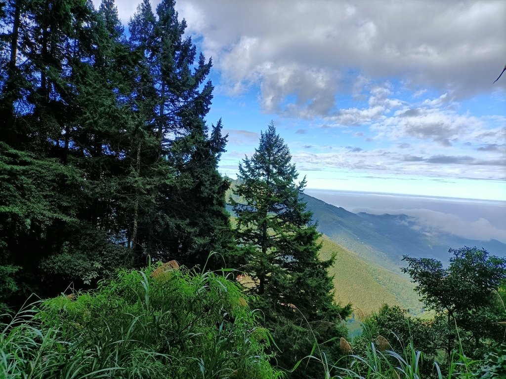 鹿谷 溪頭 南鳳凰山 (上) 鹿谷 溪頭 南鳳凰山 (上)