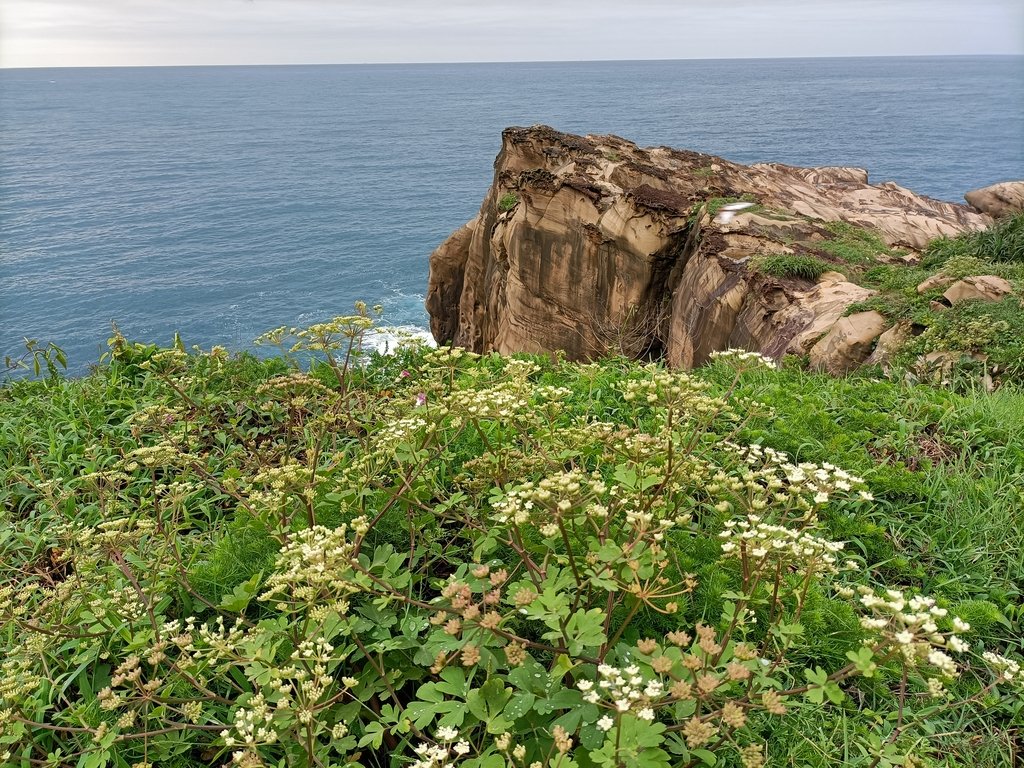瑞芳 南雅海岸奇岩之美 (01) 瑞芳 南雅海岸奇岩之美 (01)