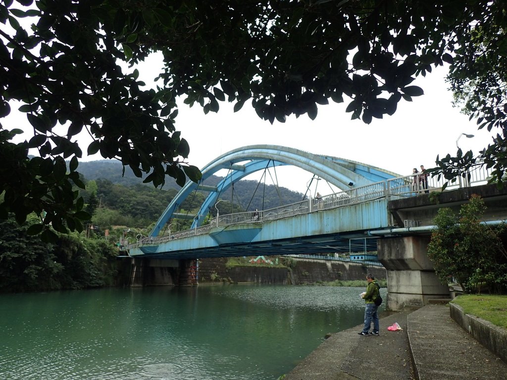 坪林 北勢溪畔風光 坪林 北勢溪畔風光