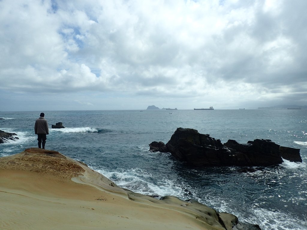 萬里 龜吼 維納斯海岸線 萬里 龜吼 維納斯海岸線