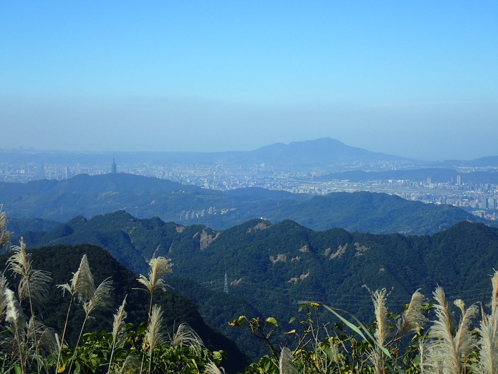 坪林 獅公髻尾山 (大旗尾山) 坪林 獅公髻尾山 (大旗尾山)