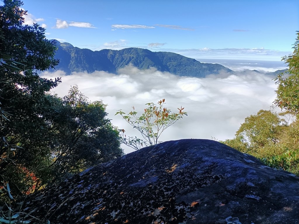 鹿谷 溪頭 南鳳凰山 (下) 鹿谷 溪頭 南鳳凰山 (下)
