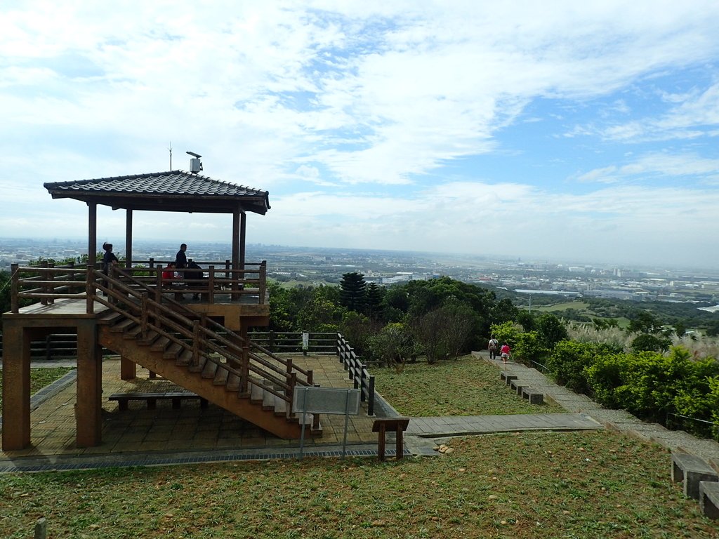 蘆竹 大古山步道 蘆竹 大古山步道