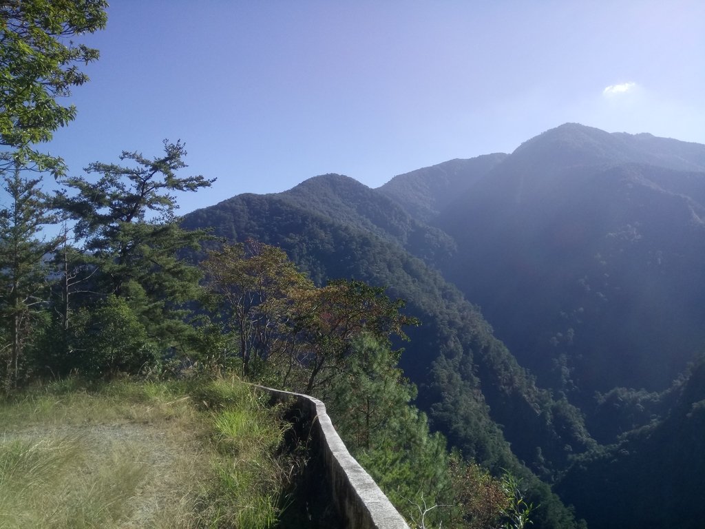 仁愛 惠蓀林場 湯公碑步道 仁愛 惠蓀林場 湯公碑步道
