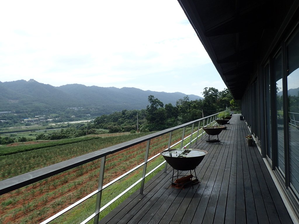 銅鑼 九湖村 銅鑼茶廠 銅鑼 九湖村 銅鑼茶廠