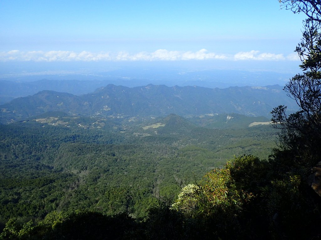 南庄 加里山大坪支線 杜鵑嶺 南庄 加里山大坪支線 杜鵑嶺