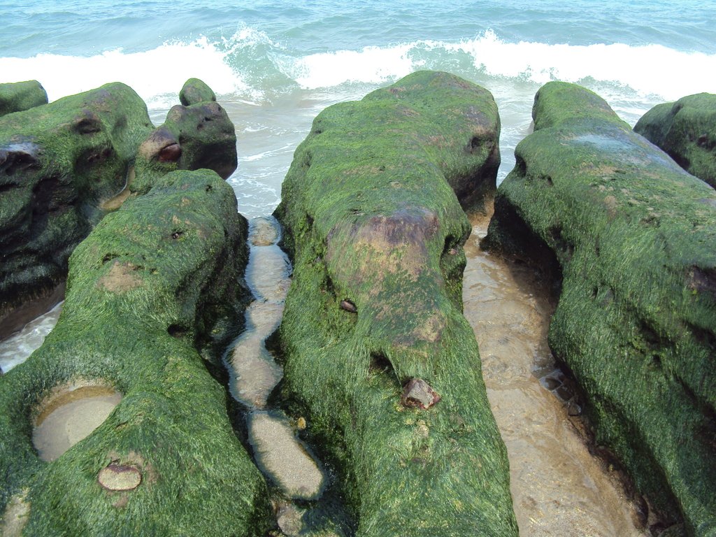 石門 老梅 綠石槽海岸 石門 老梅 綠石槽海岸