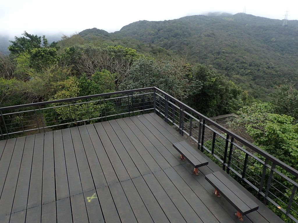 內湖 大崙頭山 森林步道 內湖 大崙頭山 森林步道