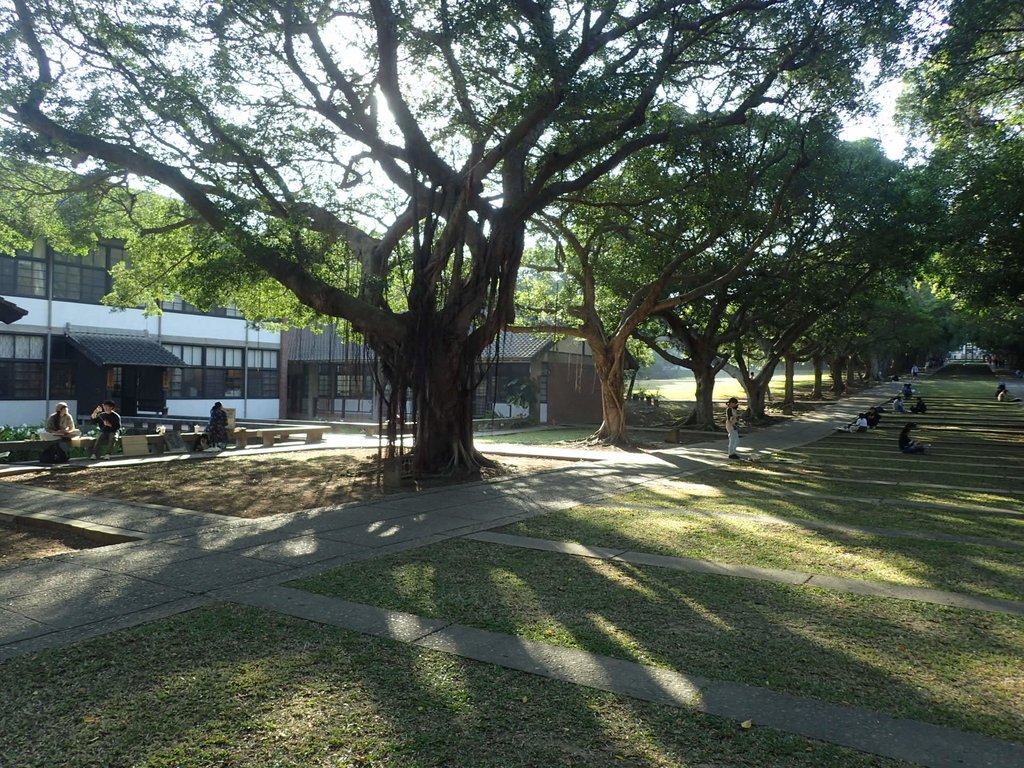 台中 東海大學 校園巡禮 台中 東海大學 校園巡禮