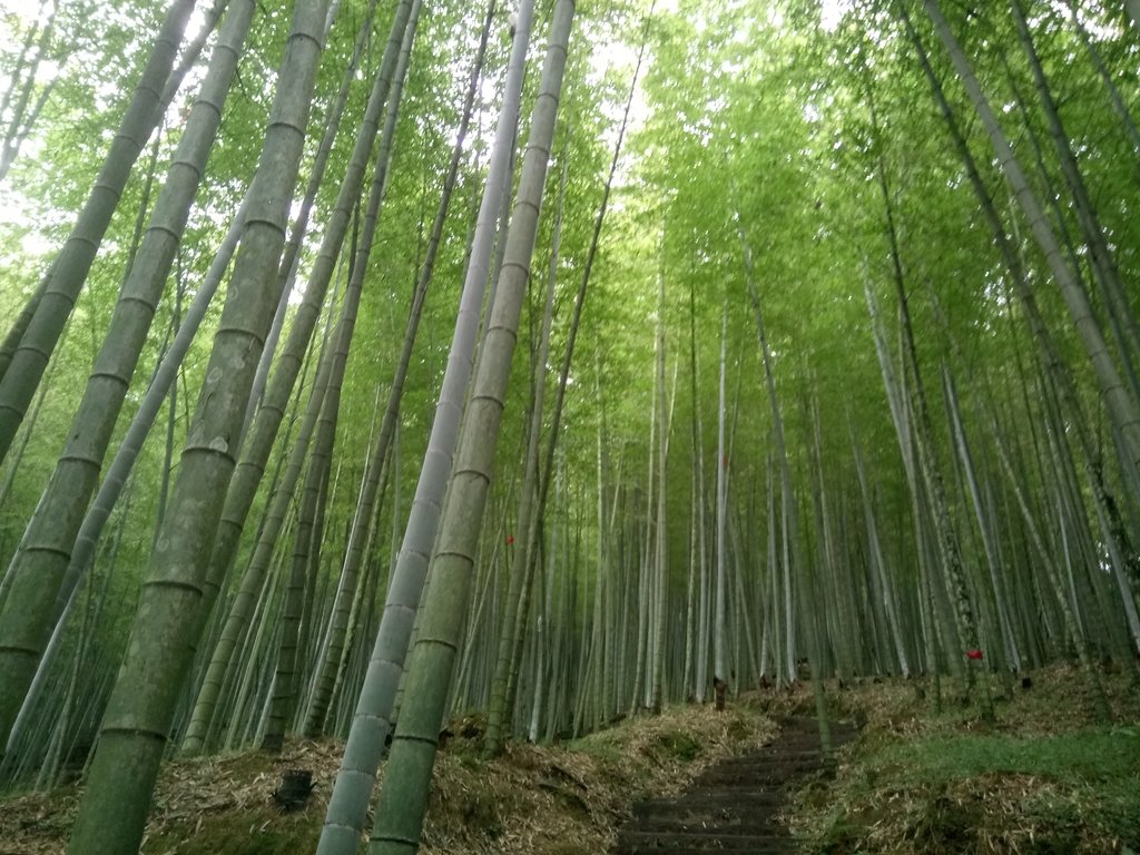 石壁山 嘉南雲峰步道 (上) 石壁山 嘉南雲峰步道 (上)