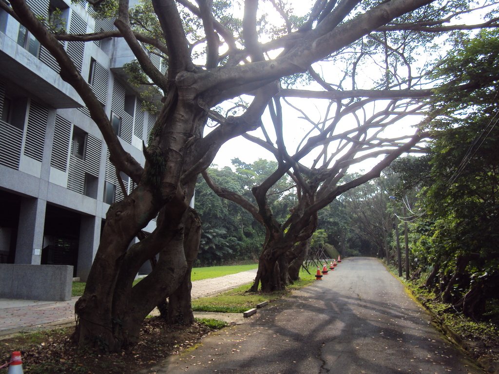 基隆 海科館 容軒園區 基隆 海科館 容軒園區