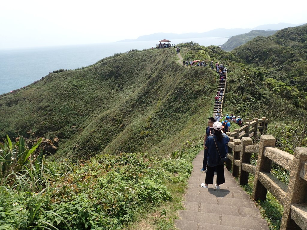 瑞芳 鼻頭角 稜谷步道 瑞芳 鼻頭角 稜谷步道