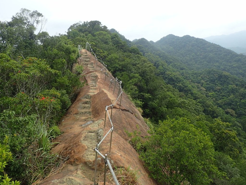 石碇 皇帝殿 西峰登山步道 石碇 皇帝殿 西峰登山步道