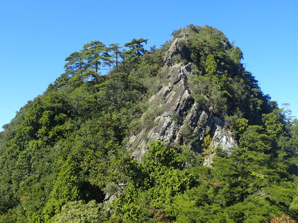 台中 和平 鳶嘴稍來山步道 (02) 台中 和平 鳶嘴稍來山步道 (02)