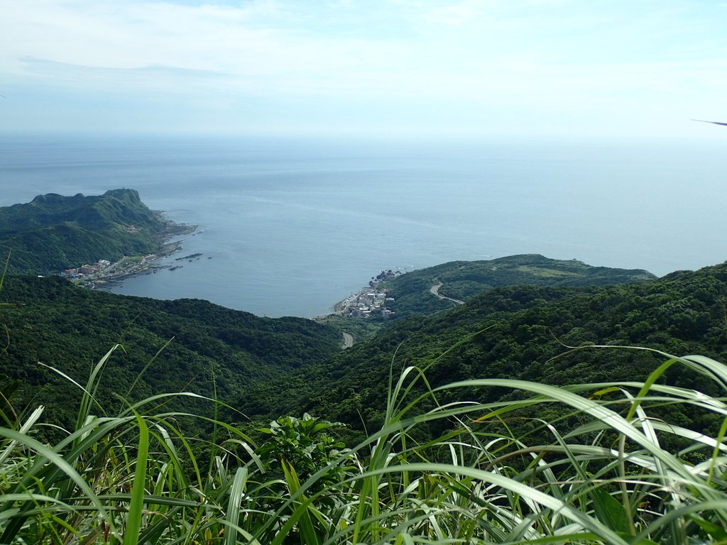 貢寮 蚊子坑古道 和美山 貢寮 蚊子坑古道 和美山