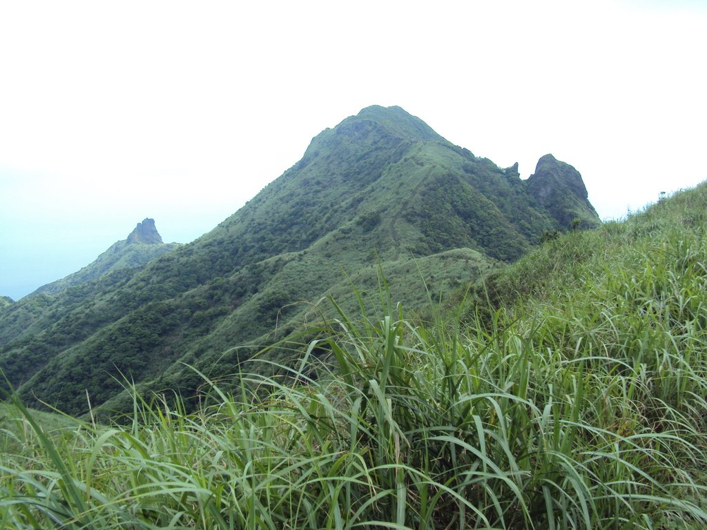 瑞芳 草山戰備道 登半屏山 瑞芳 草山戰備道 登半屏山