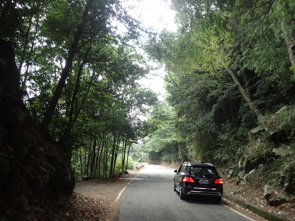 台中 和平 鳶嘴稍來山步道 (04) 台中 和平 鳶嘴稍來山步道 (04)