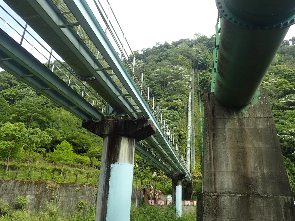 新社 白冷圳紀念公園 新社 白冷圳紀念公園