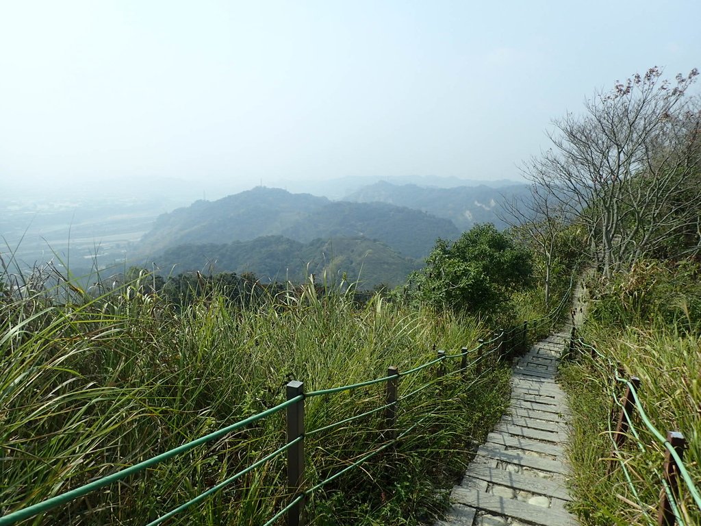 草屯 平林 九九峰森林步道 (下) 草屯 平林 九九峰森林步道 (下)