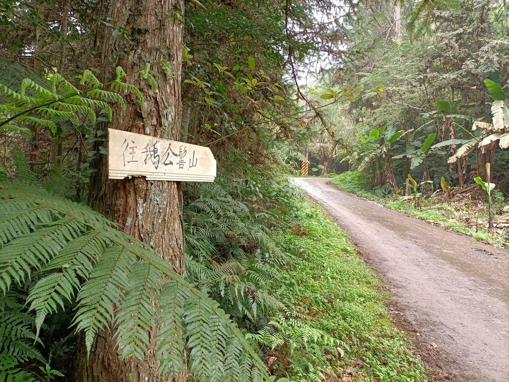 五峰 鵝公髻山登山步道 (上) 五峰 鵝公髻山登山步道 (上)