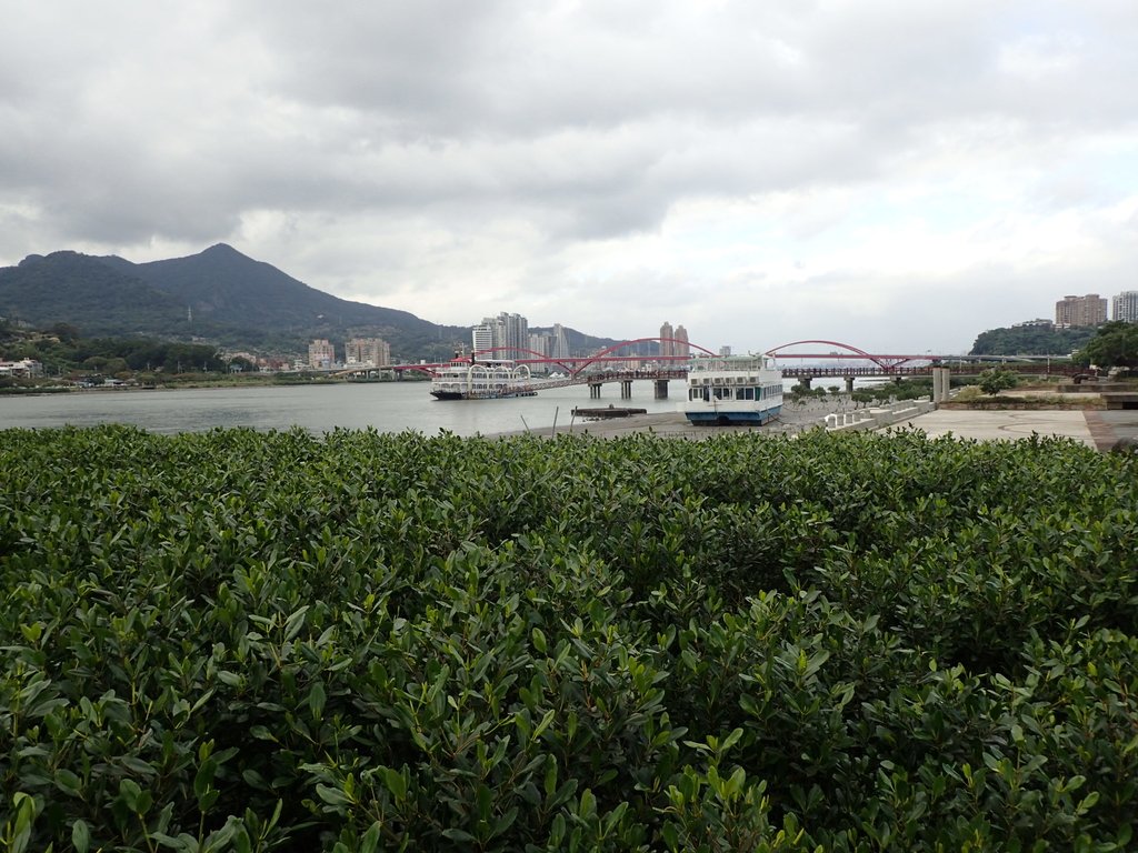 關渡 漁人碼頭 紅樹林 關渡 漁人碼頭 紅樹林